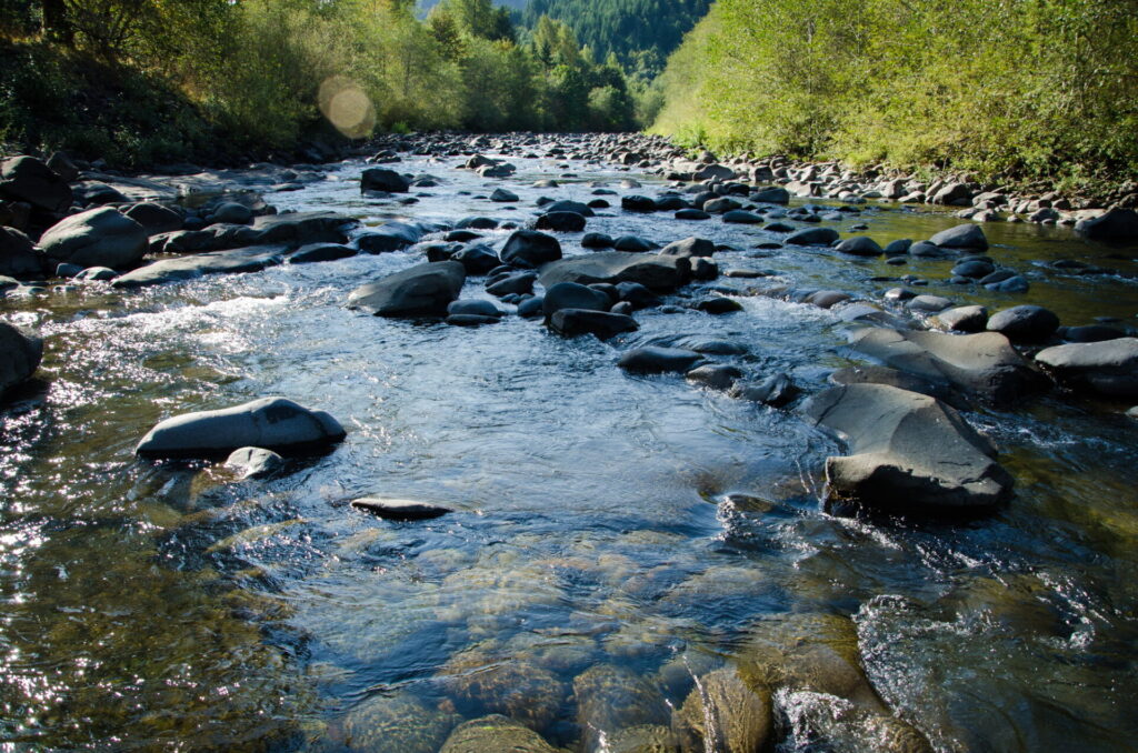 Molalla River in the summer